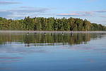 Click to see YIMG_1017.JPG