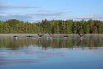 Click to see YIMG_1018.JPG