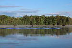 Click to see YIMG_1019.JPG