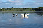 Click to see YIMG_1029.JPG