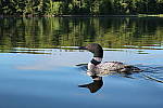 Click to see YIMG_1057.JPG