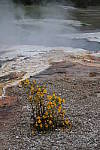 Click to see YIMG_1067.JPG