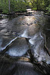 Click to see YIMG_1080-MOD.JPG