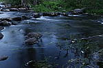Click to see YIMG_1098.JPG
