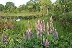 Click to see YIMG_1138.JPG