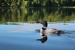 Canon G9X Mark II field test photo