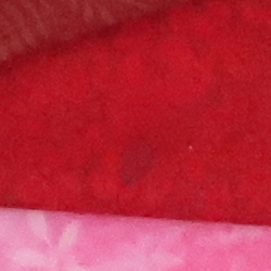 100% crop from Canon G9X Mark II test image taken at ISO 1600