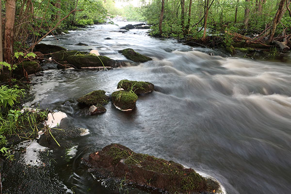 Canon G9X II Review: Field Test -- Gallery Image