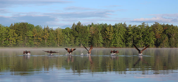 Canon G9X II Review: Field Test -- Gallery Image