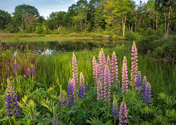 Canon G9X II Review: Field Test -- Gallery Image