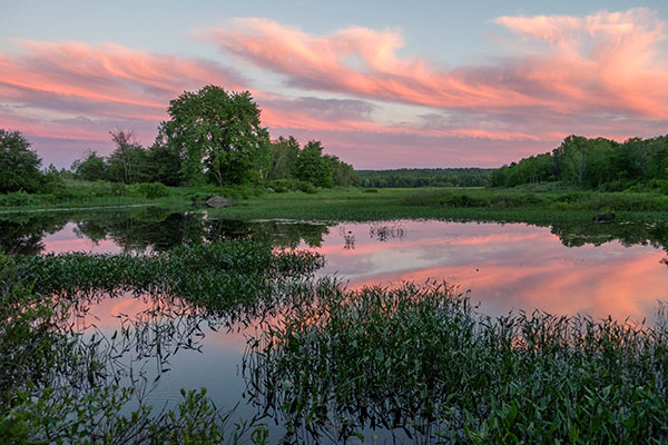 Canon G9X II Review: Field Test -- Gallery Image