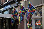 Click to see YIMG_0427.JPG