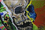 Click to see YIMG_0666.JPG