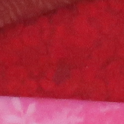 100% crop from Canon G9X test image taken at ISO 1600