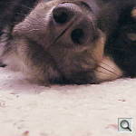 Click to see YIMG_0117.JPG