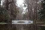 Click to see Y-JG-CANON-R50-0005.JPG