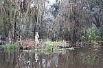Click to see Y-JG-CANON-R50-0008.JPG