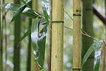 Click to see Y-JG-CANON-R50-0012.JPG