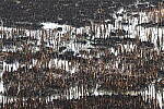 Click to see Y-JG-CANON-R50-0030.JPG