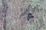 Click to see Y-JG-CANON-R50-0043.JPG