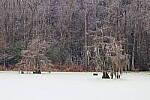 Click to see Y-JG-CANON-R50-0065.JPG