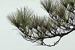 Click to see Y-JG-CANON-R50-0107.JPG