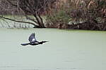 Click to see Y-JG-CANON-R50-0122.JPG