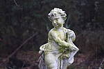 Click to see Y-WB-R50-IMG_0003.JPG