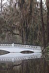 Click to see Y-WB-R50-IMG_0004.JPG