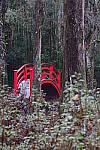 Click to see Y-WB-R50-IMG_0017.JPG
