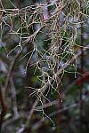 Click to see Y-WB-R50-IMG_0027.JPG