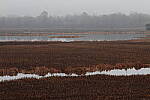 Click to see Y-WB-R50-IMG_0028.JPG