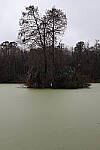 Click to see Y-WB-R50-IMG_0126.JPG