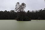 Click to see Y-WB-R50-IMG_0127.JPG