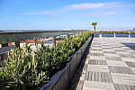 Click to see Y-WB-R50-IMG_0168.JPG