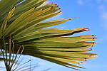 Click to see Y-WB-R50-IMG_0191.JPG