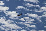 Click to see Y-WB-R50-IMG_0209.JPG
