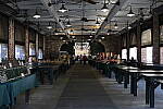 Click to see Y-WB-R50-IMG_0234.JPG