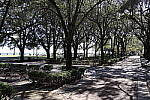 Click to see Y-WB-R50-IMG_0255.JPG