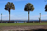 Click to see Y-WB-R50-IMG_0259-AdvancedAuto.JPG