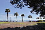 Click to see Y-WB-R50-IMG_0260-AdvancedAuto.JPG