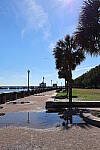 Click to see Y-WB-R50-IMG_0263-AdvancedAuto.JPG