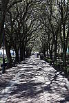 Click to see Y-WB-R50-IMG_0265.JPG