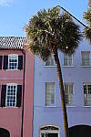 Click to see Y-WB-R50-IMG_0276.JPG