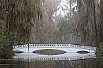 Click to see Y-JG-CANON-R8-0008.JPG