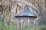 Click to see Y-JG-CANON-R8-0010.JPG