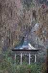 Click to see Y-JG-CANON-R8-0021.JPG