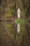 Click to see Y-JG-CANON-R8-0121.JPG
