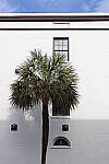 Click to see Y-JG-CANON-R8-0247.JPG