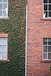 Click to see Y-JG-CANON-R8-0254.JPG